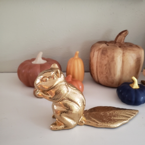 Gold harvest squirrel/ Chipmunk - Picture 2 of 3